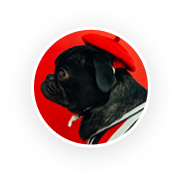 rev_about3.png